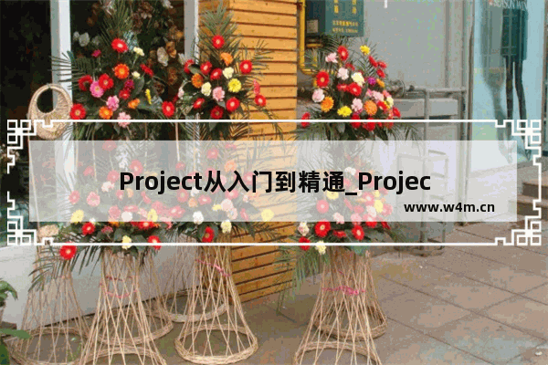 Project从入门到精通_Project日历的设置（996）