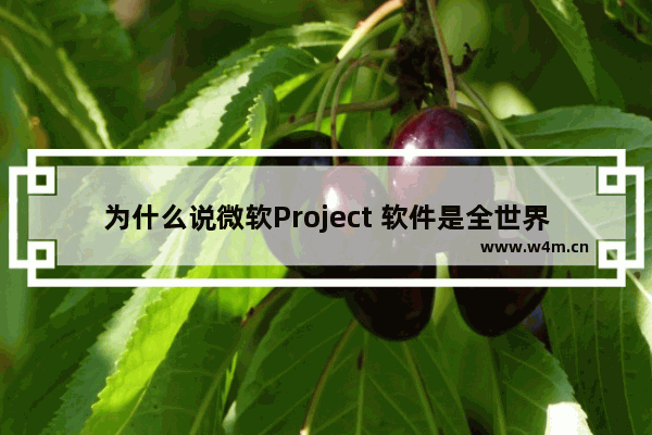 为什么说微软Project 软件是全世界最流行的项目管理软件？