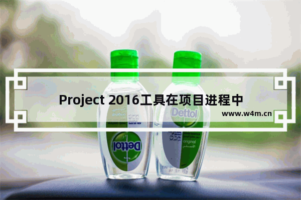 Project 2016工具在项目进程中能提供什么帮助？