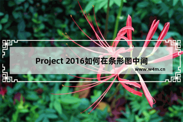 Project 2016如何在条形图中间显示任务名称