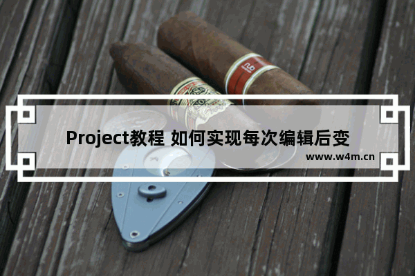 Project教程 如何实现每次编辑后变化的单元格背景颜色如何更醒目？