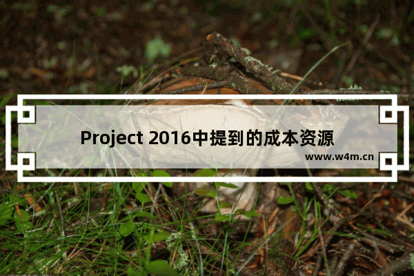 Project 2016中提到的成本资源是什么？