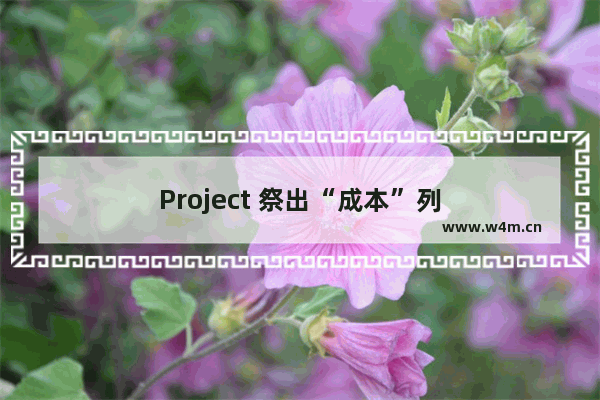 Project 祭出“成本”列