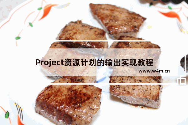 Project资源计划的输出实现教程