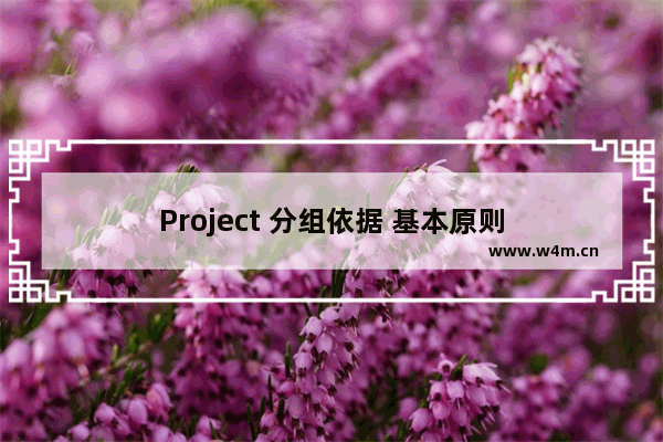 Project 分组依据 基本原则