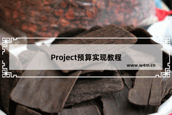 Project预算实现教程