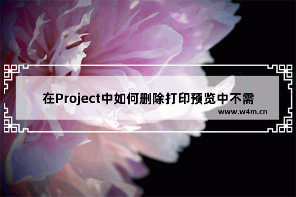 在Project中如何删除打印预览中不需要的条形图图例