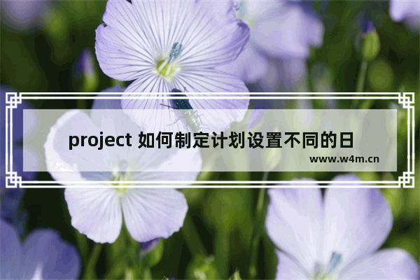 project 如何制定计划设置不同的日历