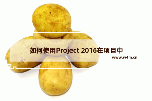 如何使用Project 2016在项目中插入备注?