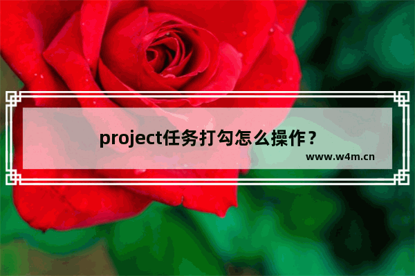 project任务打勾怎么操作？