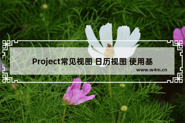 Project常见视图 日历视图 使用基础教程