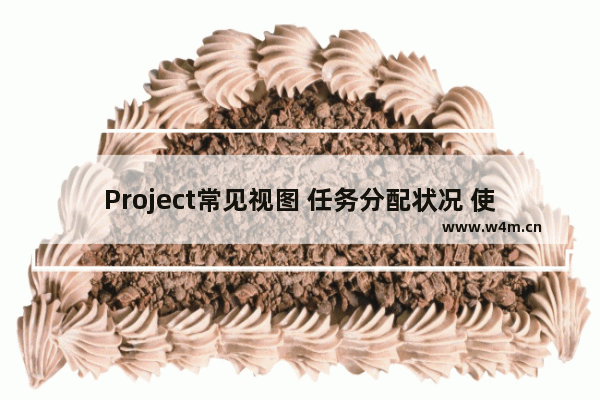 Project常见视图 任务分配状况 使用基础教程