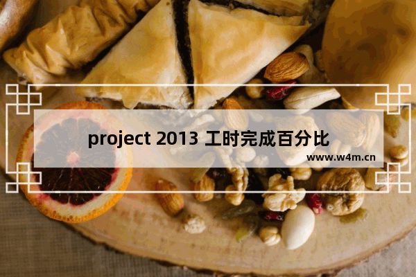 project 2013 工时完成百分比不会自动更新填充