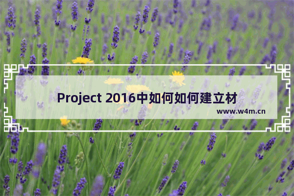 Project 2016中如何如何建立材料资源？