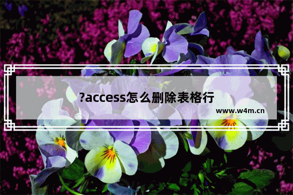 ?access怎么删除表格行