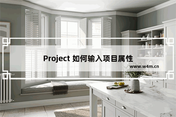 Project 如何输入项目属性