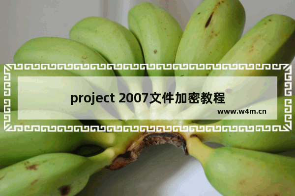 project 2007文件加密教程