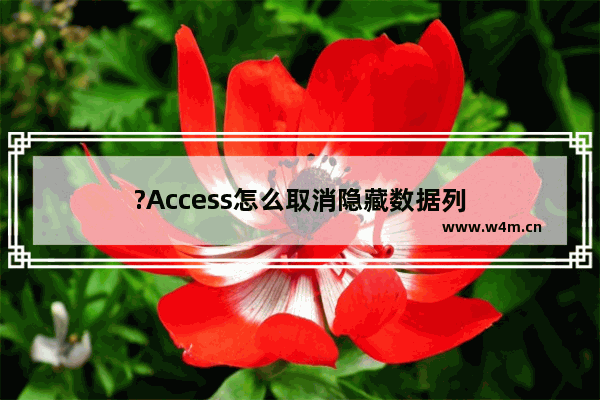 ?Access怎么取消隐藏数据列