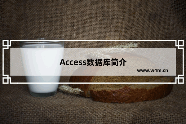 Access数据库简介