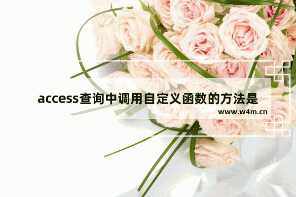 access查询中调用自定义函数的方法是什么