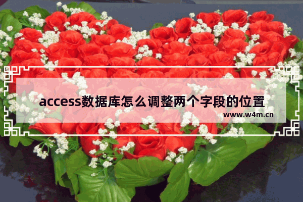 access数据库怎么调整两个字段的位置?