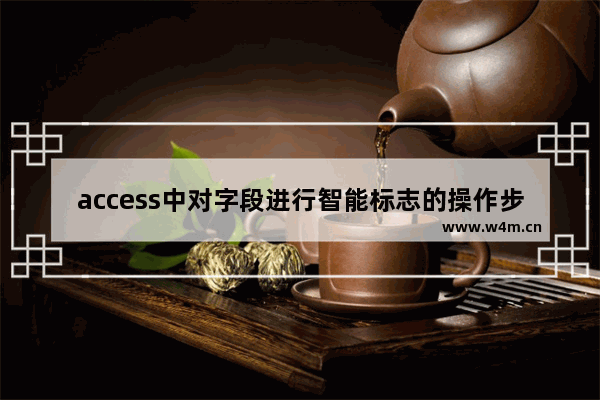 access中对字段进行智能标志的操作步骤