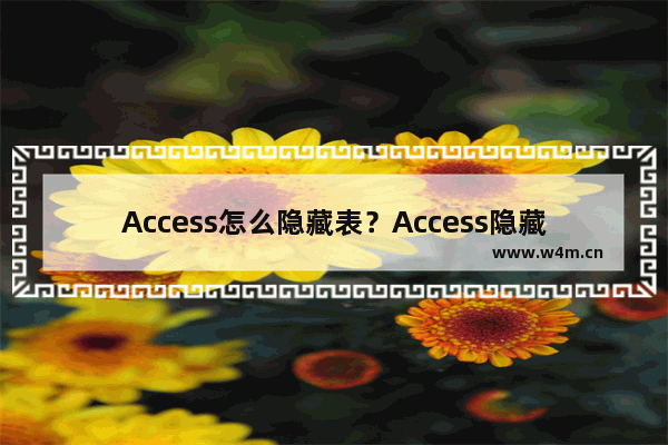 Access怎么隐藏表？Access隐藏表方法