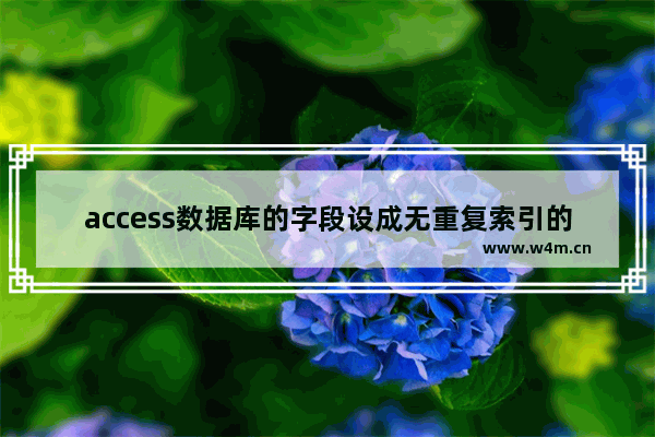 access数据库的字段设成无重复索引的操作流程