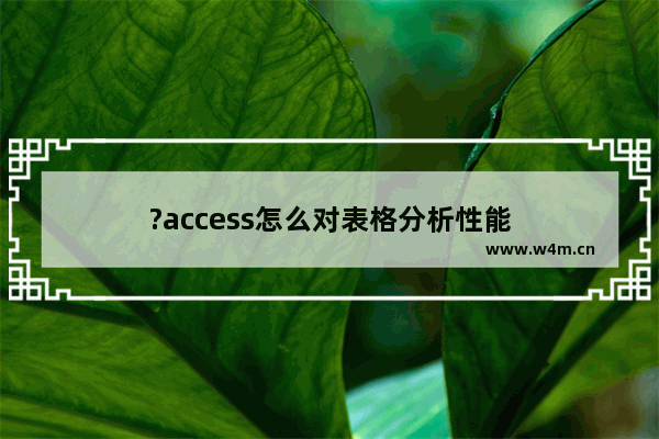 ?access怎么对表格分析性能