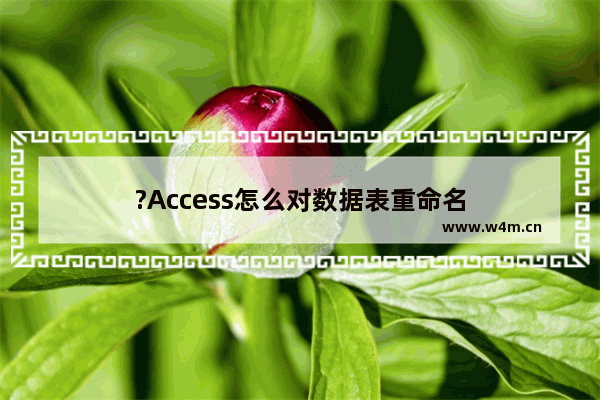 ?Access怎么对数据表重命名