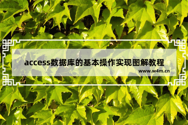 access数据库的基本操作实现图解教程