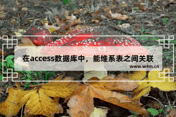 在access数据库中，能维系表之间关联的是什么？