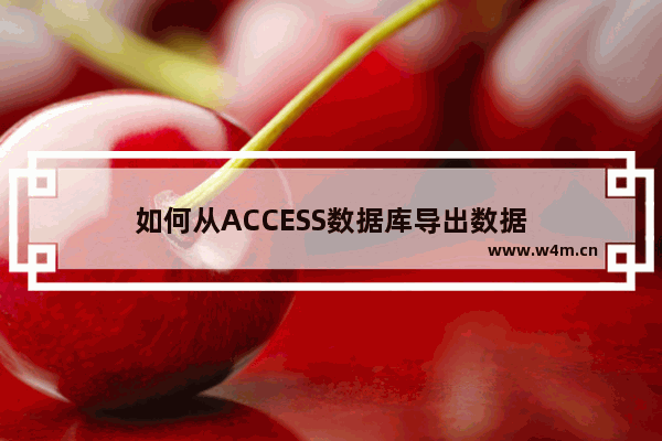 如何从ACCESS数据库导出数据