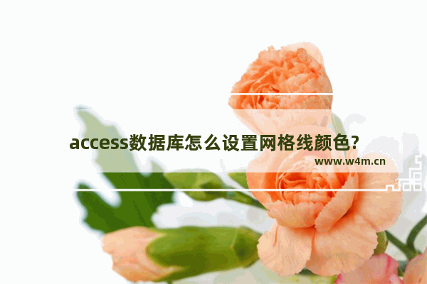 access数据库怎么设置网格线颜色?