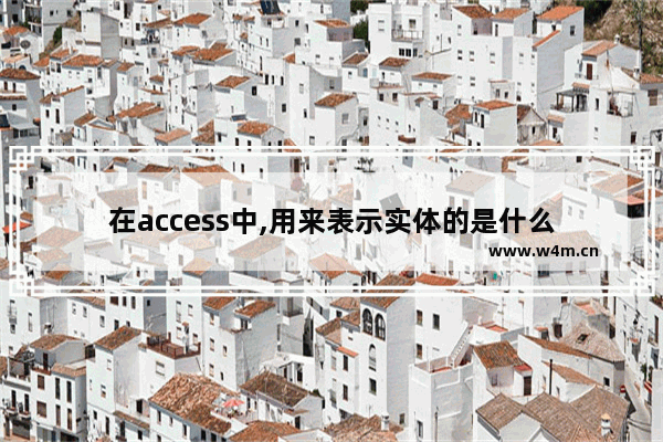 在access中,用来表示实体的是什么