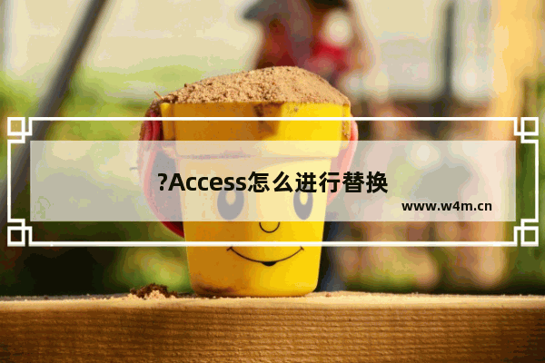 ?Access怎么进行替换