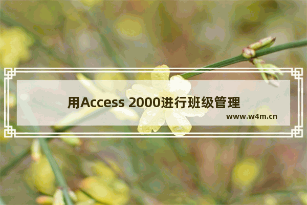 用Access 2000进行班级管理