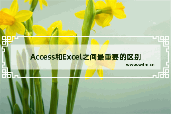 Access和Excel之间最重要的区别是什么？