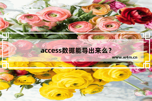 access数据能导出来么？