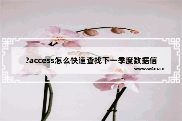 ?access怎么快速查找下一季度数据信息