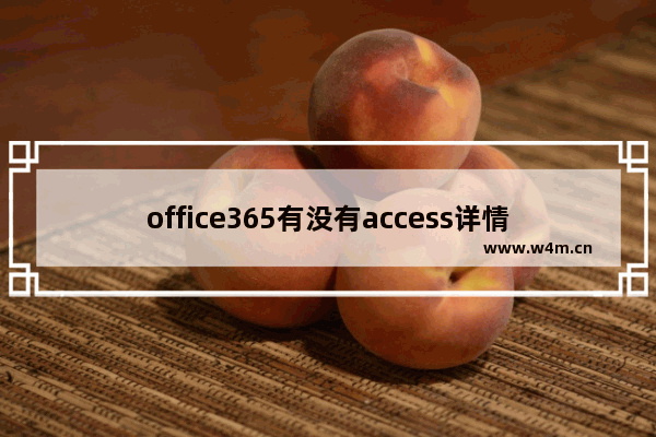 office365有没有access详情介绍