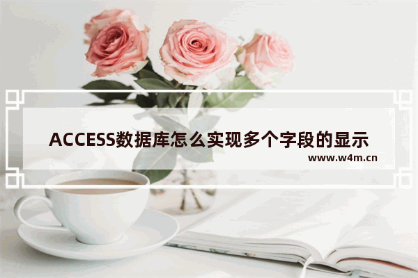 ACCESS数据库怎么实现多个字段的显示查询?