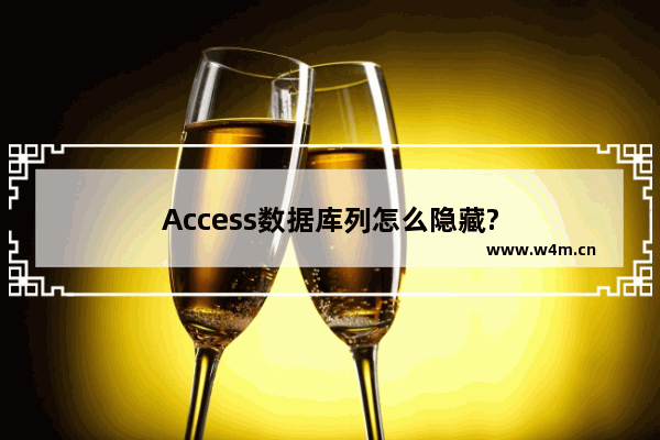 Access数据库列怎么隐藏?