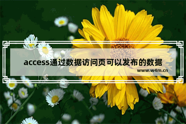 access通过数据访问页可以发布的数据是什么