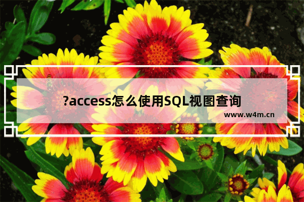 ?access怎么使用SQL视图查询