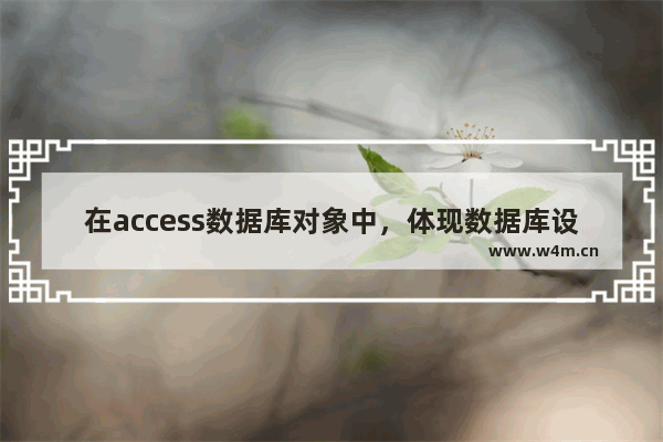 在access数据库对象中，体现数据库设计目的的对象是什么