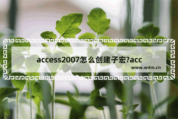 access2007怎么创建子宏?access2007创建子宏的方法