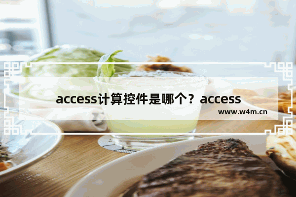 access计算控件是哪个？access计算控件在哪？