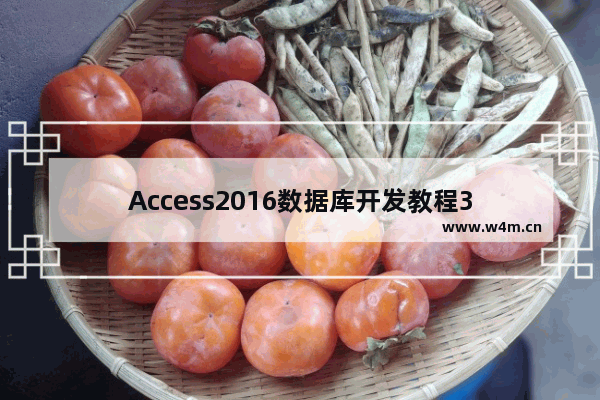 Access2016数据库开发教程3