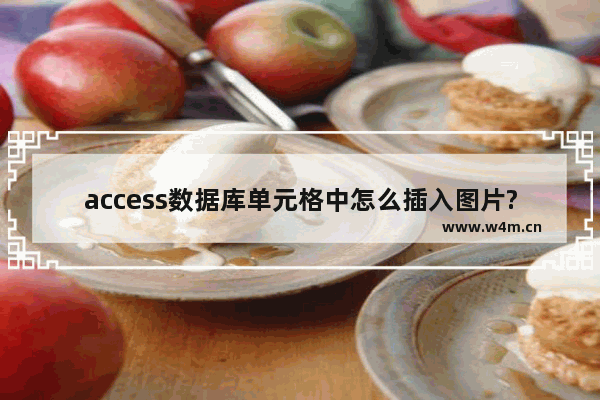 access数据库单元格中怎么插入图片?